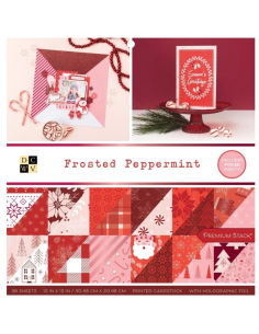 Bloc de Cartulina Frosted Peppermint de 30.48x30.48cm, DCWV