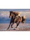 Rompecabezas Free horse de 1000 piezas, Clementoni