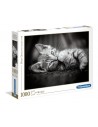 Rompecabezas Kitty de 1000 piezas, Clementoni