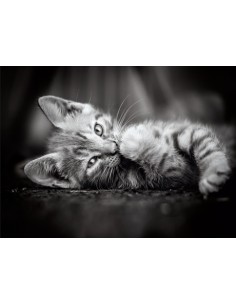 Rompecabezas Kitty de 1000 piezas, Clementoni