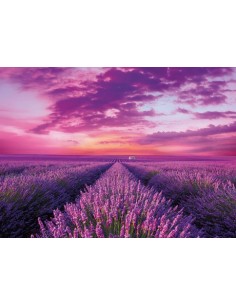 Rompecabezas Lavender Field de 1000 piezas, Clementoni