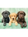 Rompecabezas Three Labs de 1000 piezas, Clementoni