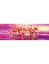 Rompecabezas Flamingo dance de 1000 piezas, CLEMENTONI