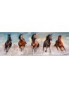 Rompecabezas Horses de 1000 piezas, Clementoni