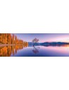 Rompecabezas Lake Wanaka Tree de 1000 piezas, Clementoni