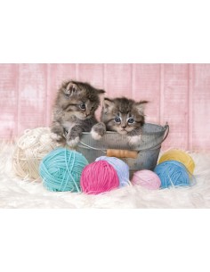 Rompecabezas Sweet Kittens, 104 piezas, Clementoni
