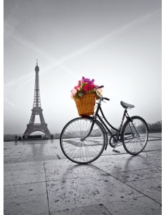 Rompecabezas Romantic promenade in Paris de 500 piezas, CLEMENTONI