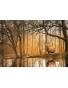 Peace Puzzle Atardecer / JOBBI / CLEMENTONI