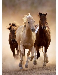 Rompecabezas Caballos corriendo / JOBBI / CLEMENTONI