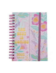 Mooving AGENDA QUITAPESARES 2025