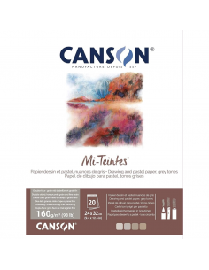 CANSON Bloc Mi-Teintes Gris 20H 24X32 160G