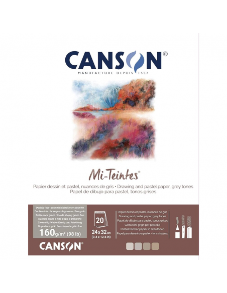 CANSON Bloc Mi-Teintes Gris 20H 24X32 160G