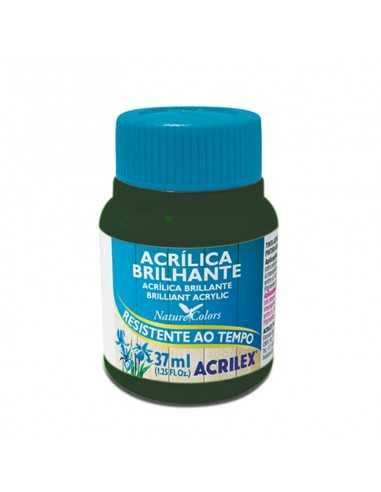 Pintura Acrílica Brillante 37ML, ACRILEX