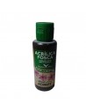 Pintura Acrílica Mate 60 ml - ACRILEX