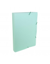 Folder de Plástico Verde Pastel DELLO