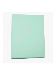 DELLO Folder Doblado con Clip Verde Pastel