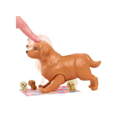 Muñeca y Mascotas de Barbie - jobbi