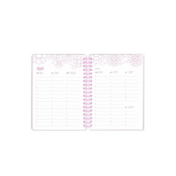 Agenda Coloring Planner  Edición Car Pintos MOOVING - jobbi