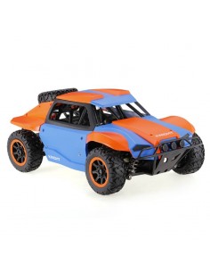 Coche Racing Rally