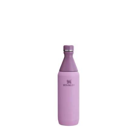 Botella All Day Slim 590 ml Lilac - Stanley