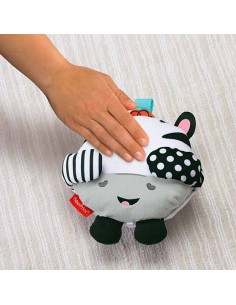 Rocko risitas sorpresas,FISHER PRICE
