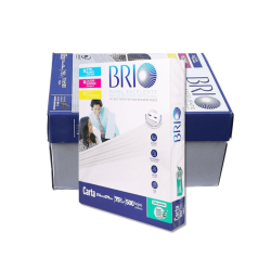 Caja de 10 resmas carta BRIO