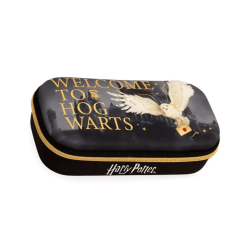 MOOVING Cartuchera Box Harry Potter 2024