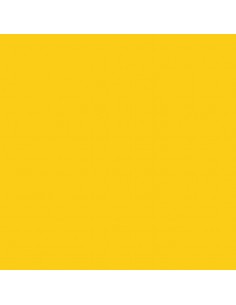 Cartulina amarillo oro de 50 x 65 cm, CANSON