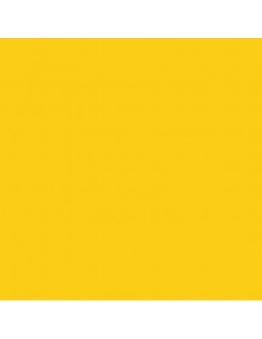 Cartulina amarillo oro de 50 x 65 cm, CANSON