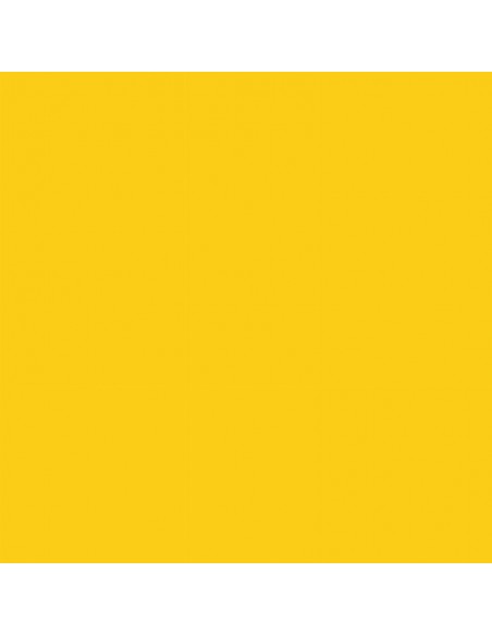 Cartulina amarillo oro de 50 x 65 cm, CANSON