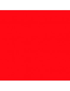 Cartulina rojo vivo 50 x 65 cm, CANSON