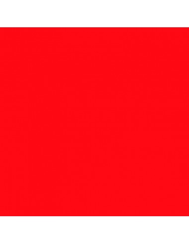 Cartulina rojo vivo 50 x 65 cm, CANSON