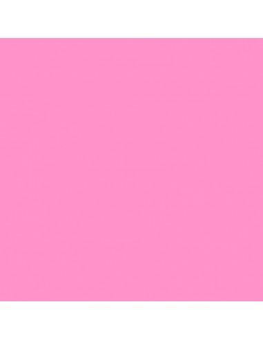 Cartulina rosa de 50 x 65 cm, CANSON