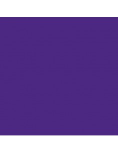 Cartulina violeta de 50 x 65 cm, CANSON