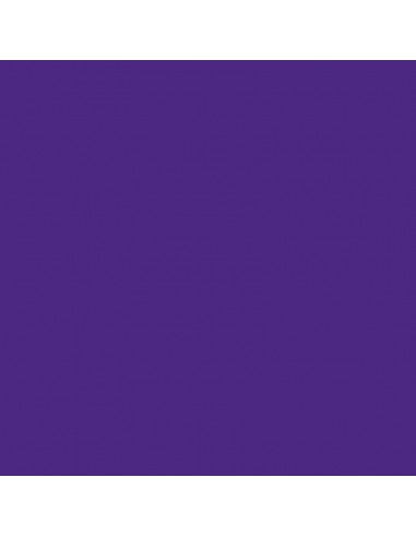 Cartulina violeta de 50 x 65 cm, CANSON