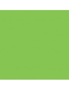 Cartulina verde brillante de 50 x 65 cm, CANSON