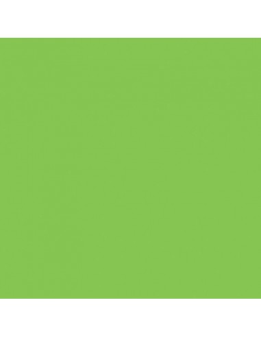 Cartulina verde brillante de 50 x 65 cm, CANSON