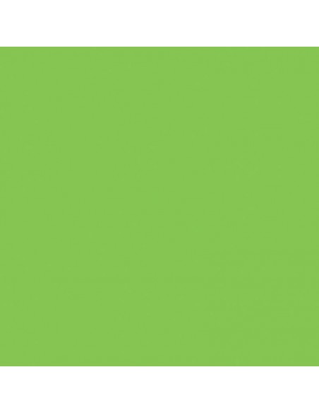 Cartulina verde brillante de 50 x 65 cm, CANSON