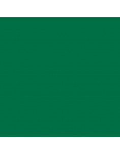 Cartulina verde  musgo de 50 x 65 cm, CANSON