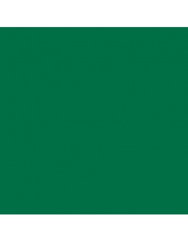 Cartulina verde  musgo de 50 x 65 cm, CANSON