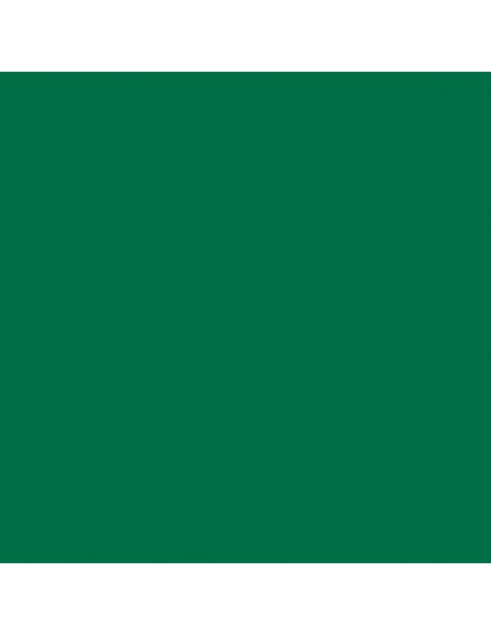 Cartulina verde  musgo de 50 x 65 cm, CANSON