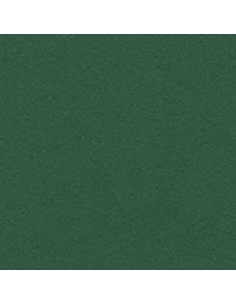 Cartulina verde abeto  de 50 x 65 cm, CANSON