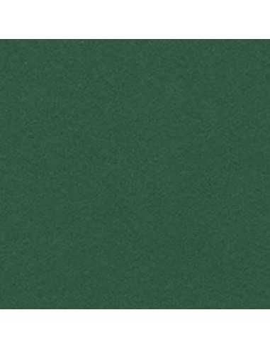 Cartulina verde abeto  de 50 x 65 cm, CANSON