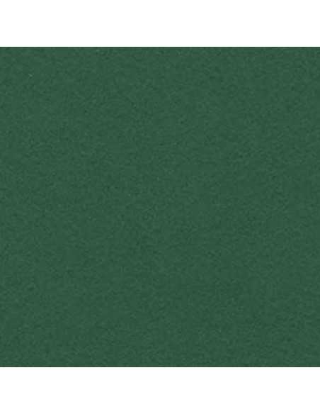 Cartulina verde abeto  de 50 x 65 cm, CANSON