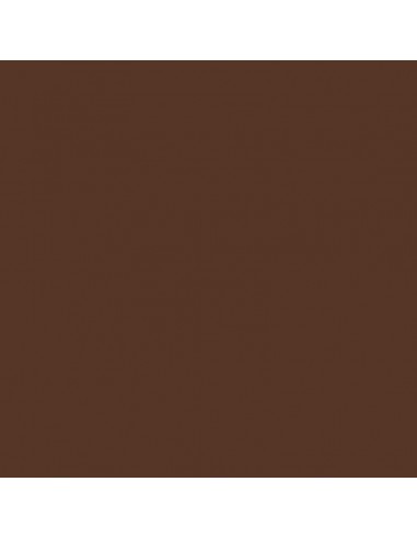 Cartulina chocolate   de 50 x 65 cm, CANSON