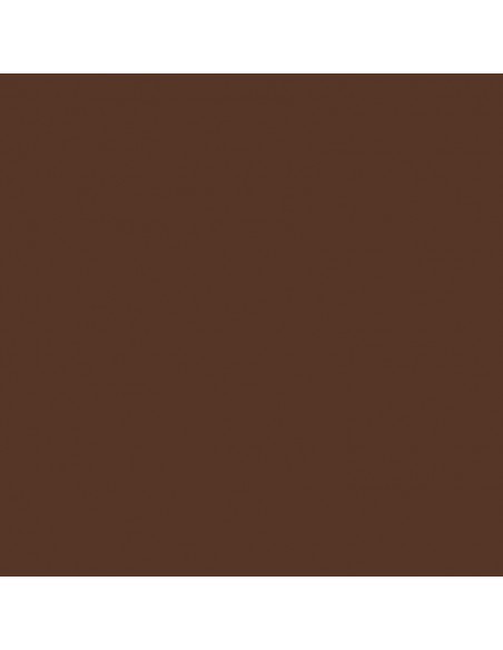 Cartulina chocolate   de 50 x 65 cm, CANSON
