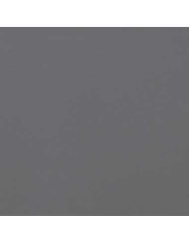 Cartulina gris oscuro  de 50 x 65 cm, CANSON