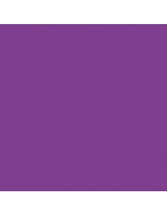 Cartulina violeta de 50 x 65 cm, CANSON