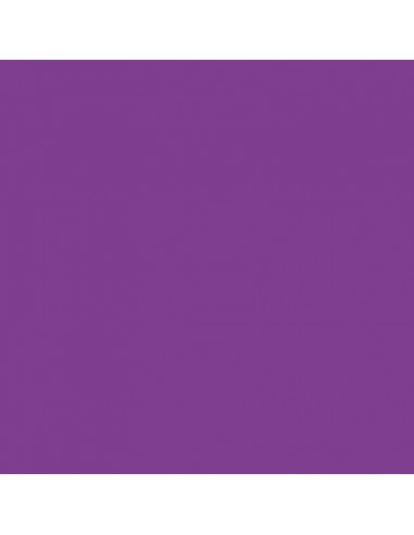 Cartulina violeta de 50 x 65 cm, CANSON