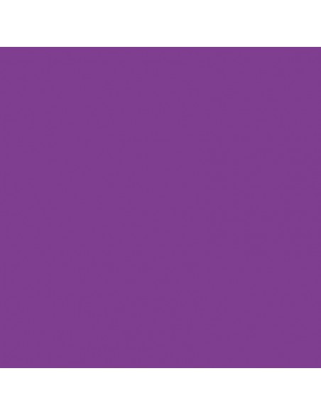 Cartulina violeta de 50 x 65 cm, CANSON